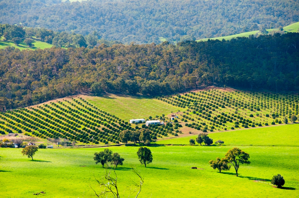 Valley,Of,Chittering,-,Western,Australia