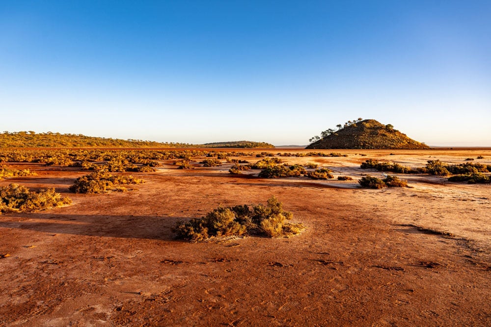 shutterstock_2435619673